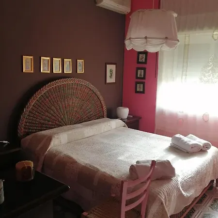 Agrumeto